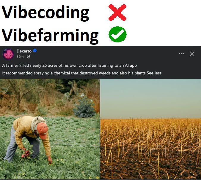 774043819_917192814768225_3573342317003862179_n