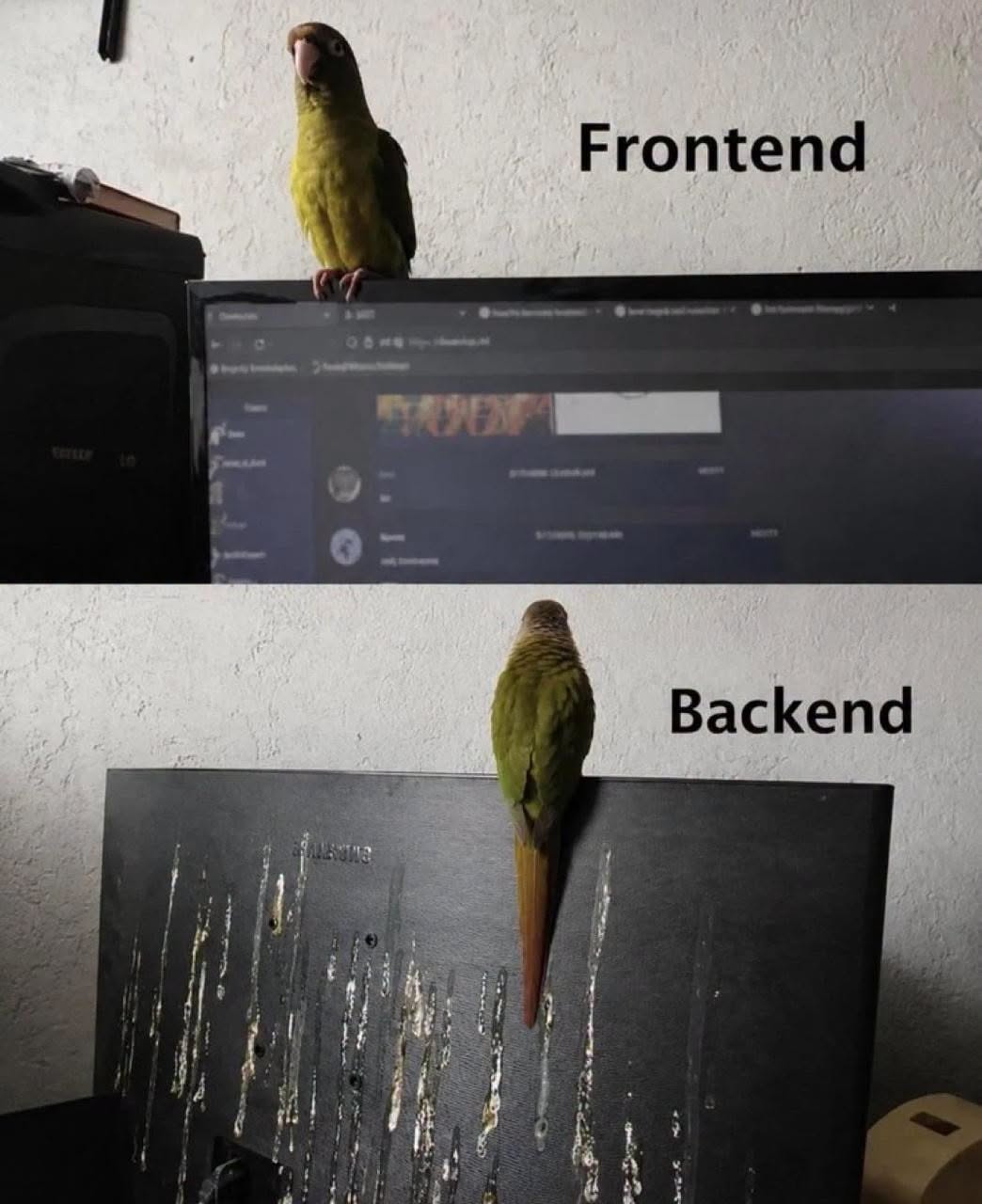 787077062_1713705416591968_144032630860998399_n