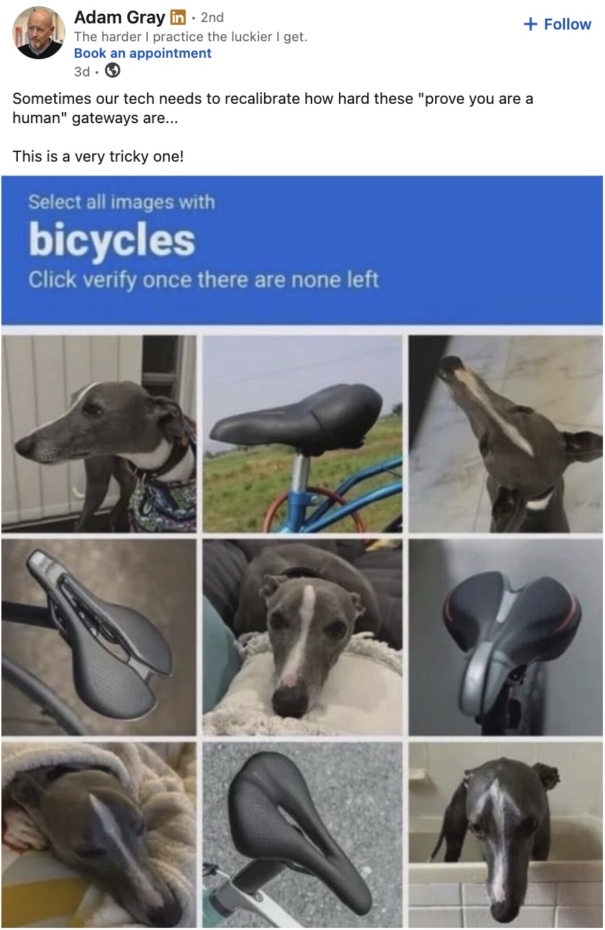 bicycles