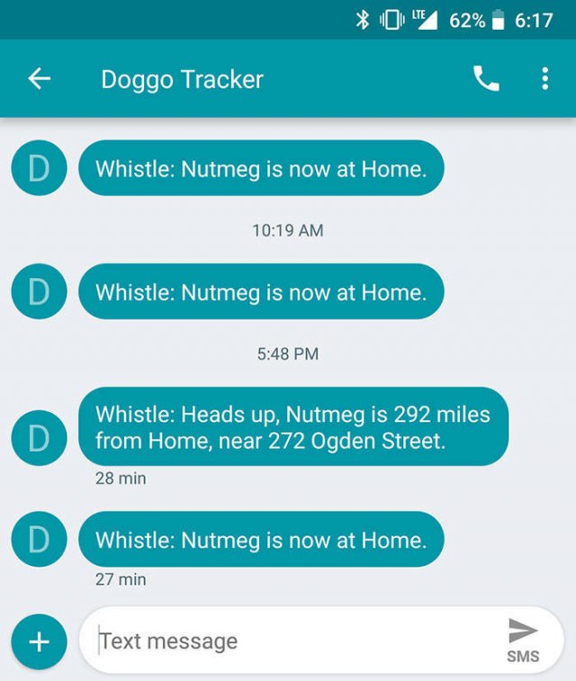 1791366524_3ipoinjahh
