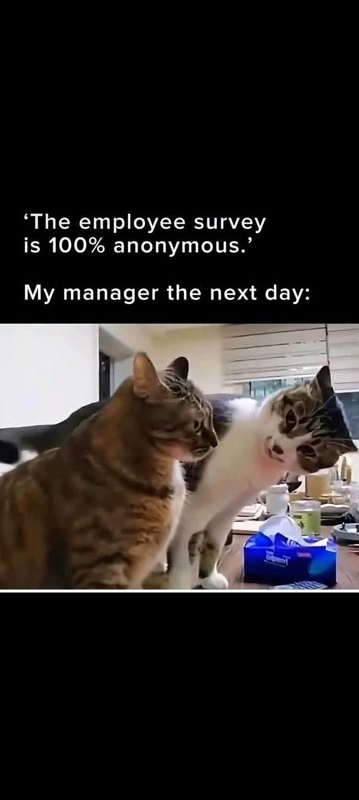 847999205_122128391271278149_7372285707678901785_n