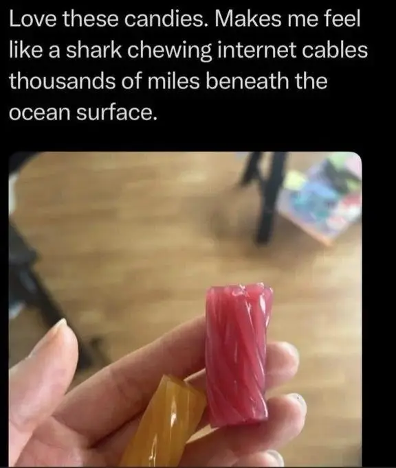 8ZVjkJ3Hhc